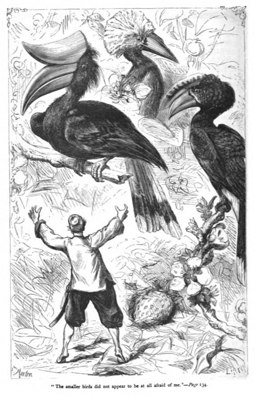 “The smaller birds did not appear to be at all afraid of me.” - Page 134