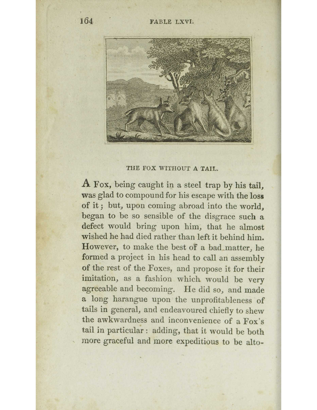 [A Fox without a Tail]