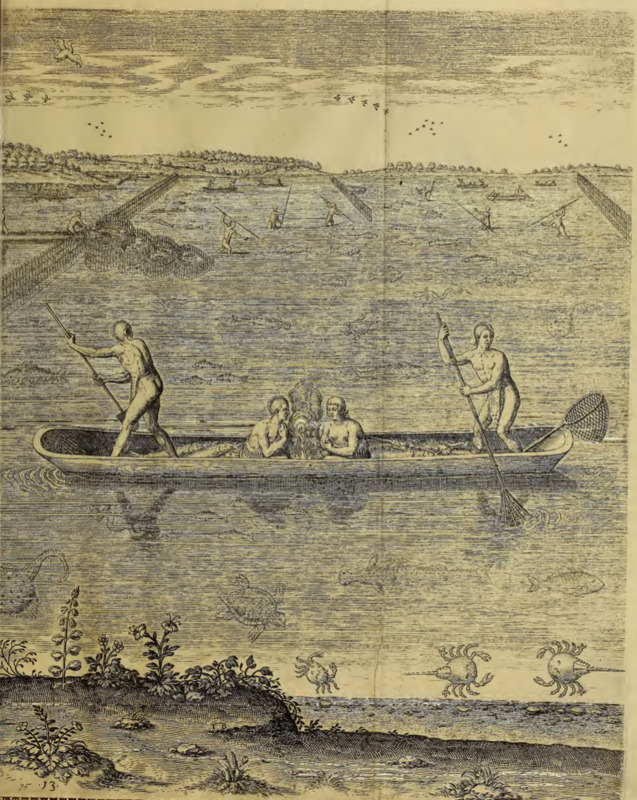 Wasserlen weise die Einwohner in Virginia zu fischen pflegen. XIII.