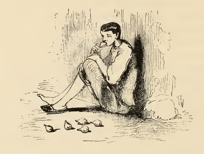 [A Greedy Boy Eats Half a Dozen Pears]