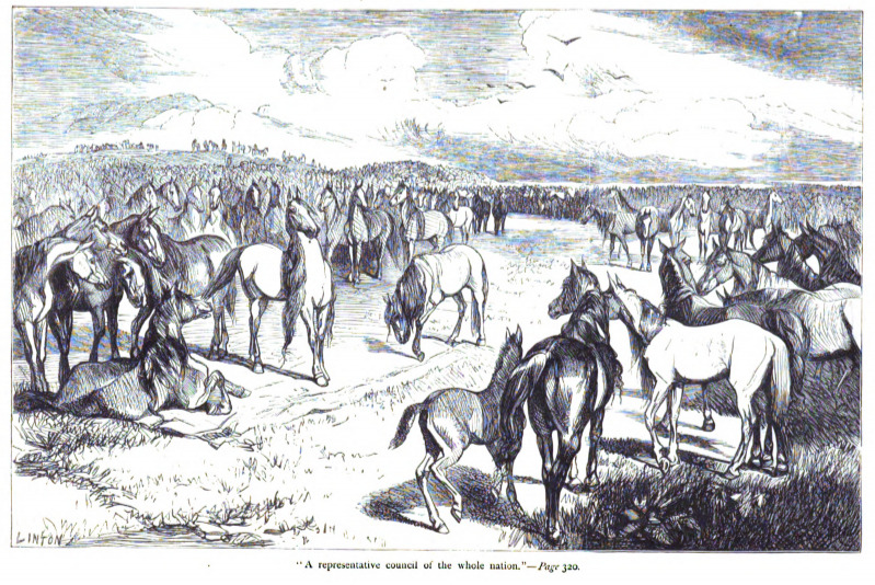 A representative council of the whole nation. - Page 320