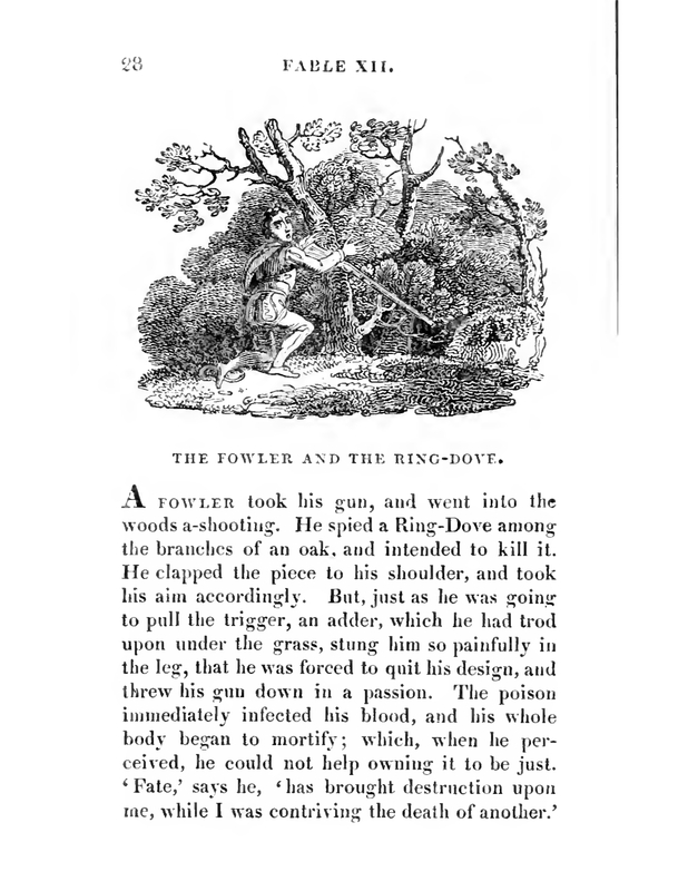 The Fowler and The Ring-Dove