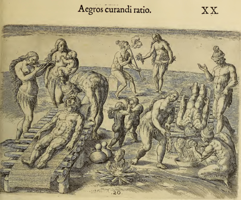 Aegros curandi ratio. XX.
