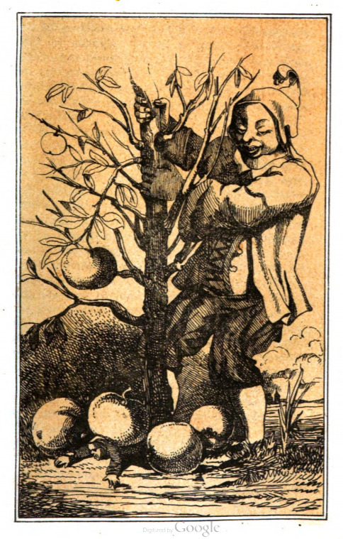[The Queen of Brobdingnag’s dwarf shakes a tree dropping fruit on Gulliver]