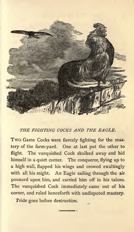 THE FIGHTING COCKS AND THE EAGLE