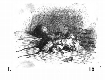 I. 16.