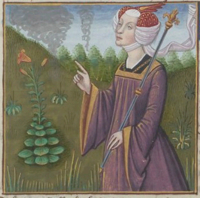 Medea experte enchanteresse et royne des colchens