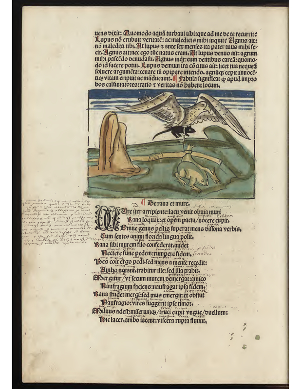 De rana et mure.
