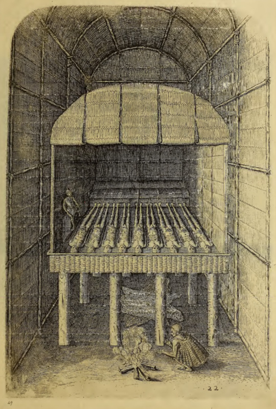 Von der grossen Herrn in Virginia Begräbnuß. XXII.