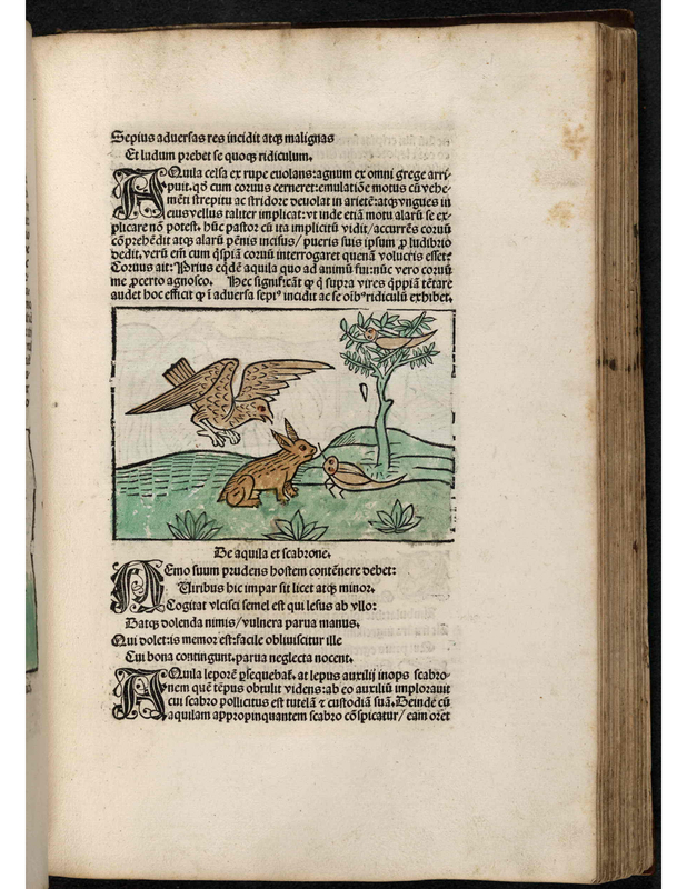 be aquila et fcabzon.