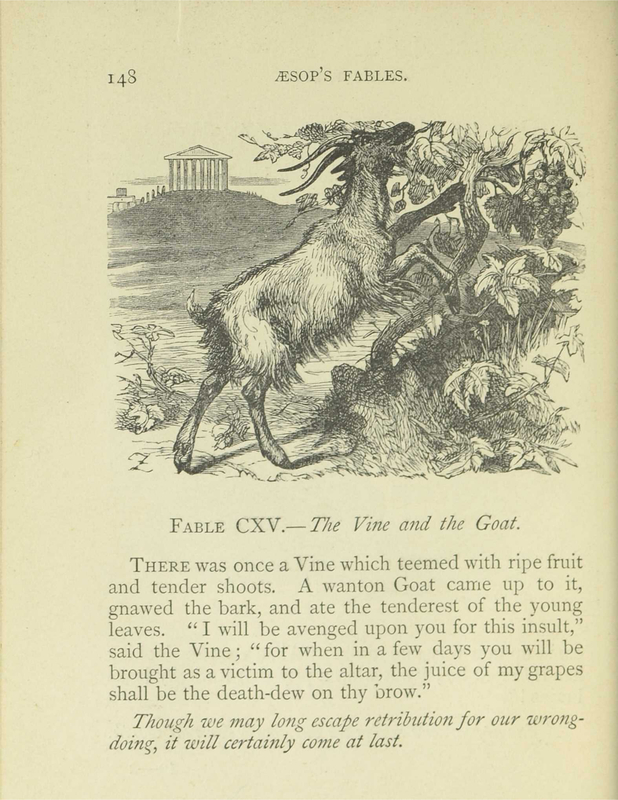 The Vine and the Goat