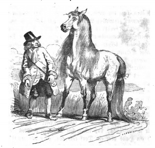 [Gulliver first encounters a Houyhnhnm]