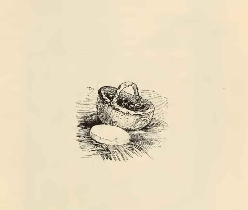 [A Basket Full of Acorns and a Wheel of Cheese]