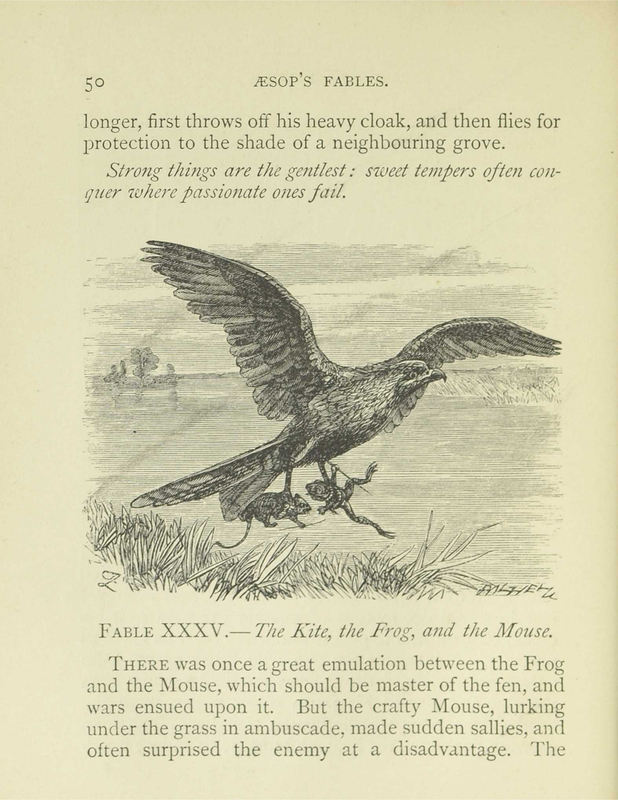The Kite, the Frog, and the Mouse