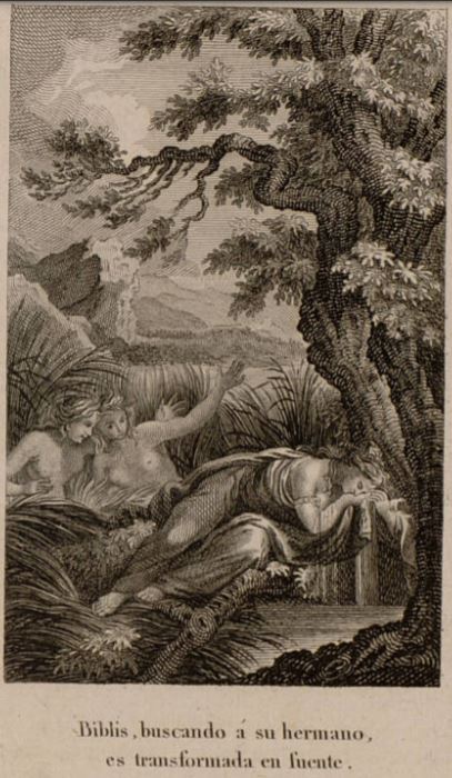 Biblis, buscando a su hermano, es transformada en fuente
