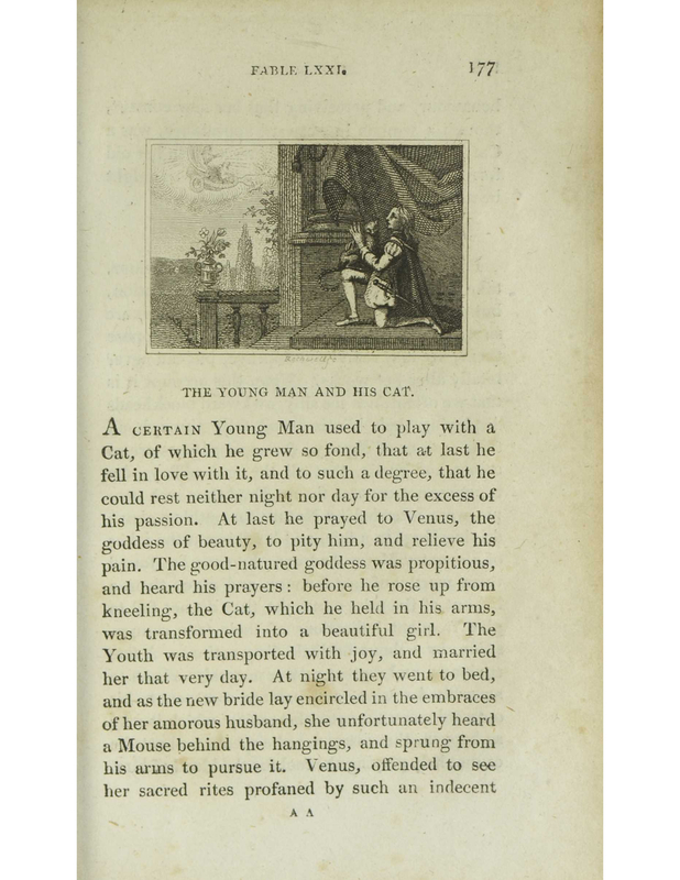 [The Young Man and His Cat]