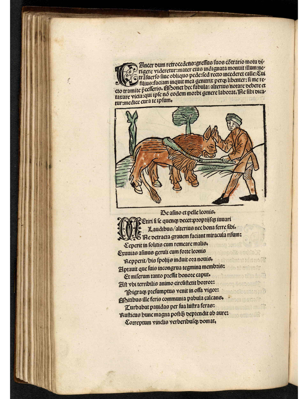 Be afino et pelle leonis