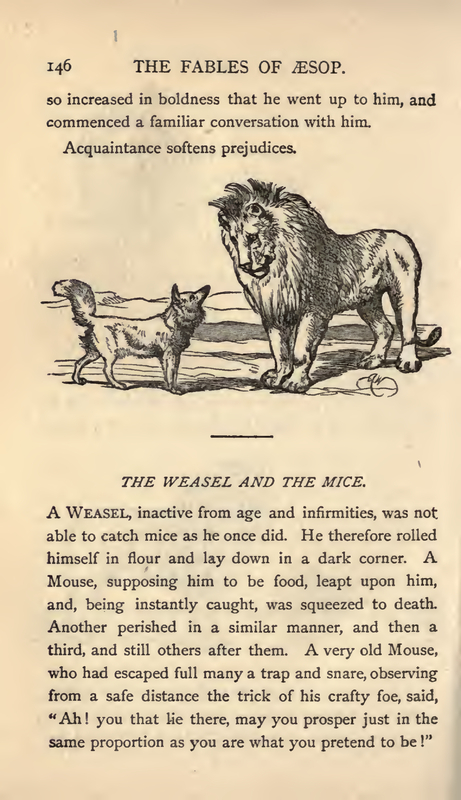 The Fox and The Lion