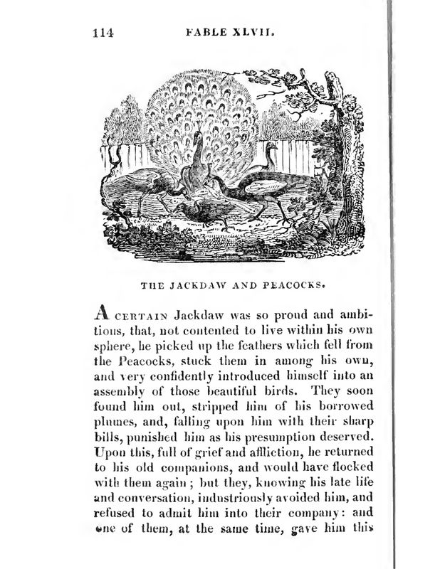 The Jackdaw and the Peacocks