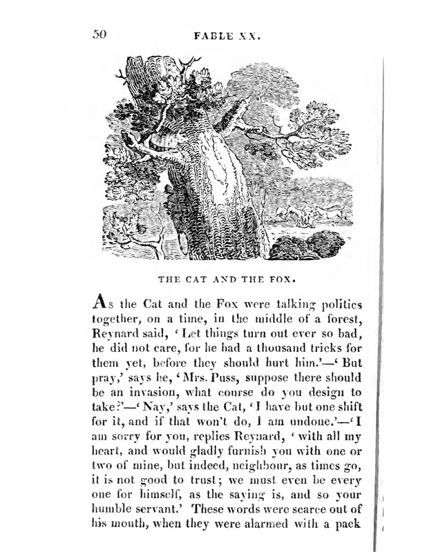 The Cat and The Fox