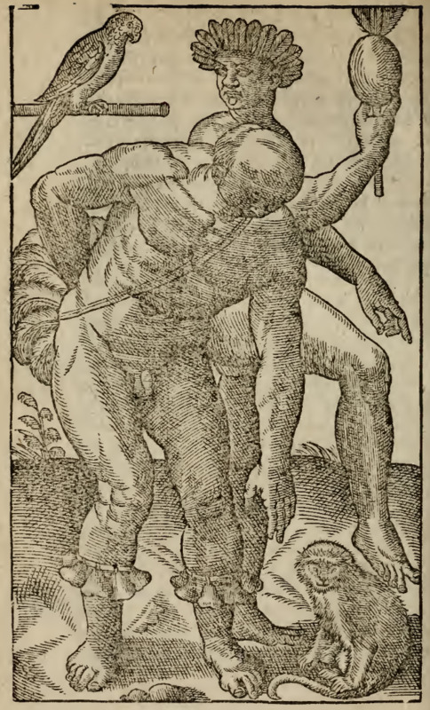 [Two Tupinambá men with a parrot and a monkey]