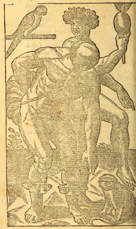 [Two Tupinambá men with a parrot and a monkey]
