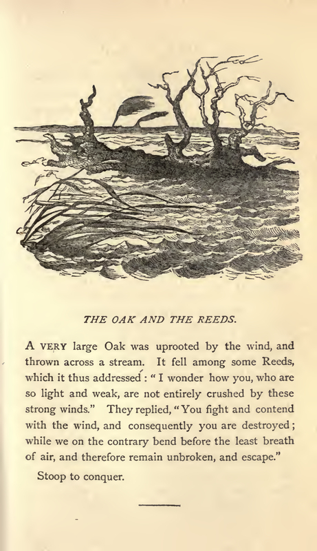 THE OAK AND THE REEDS