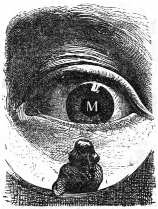 [A giant’s eye looking at Gulliver]