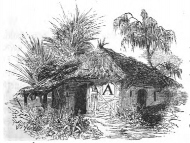 [the Houyhnhnm’s house]