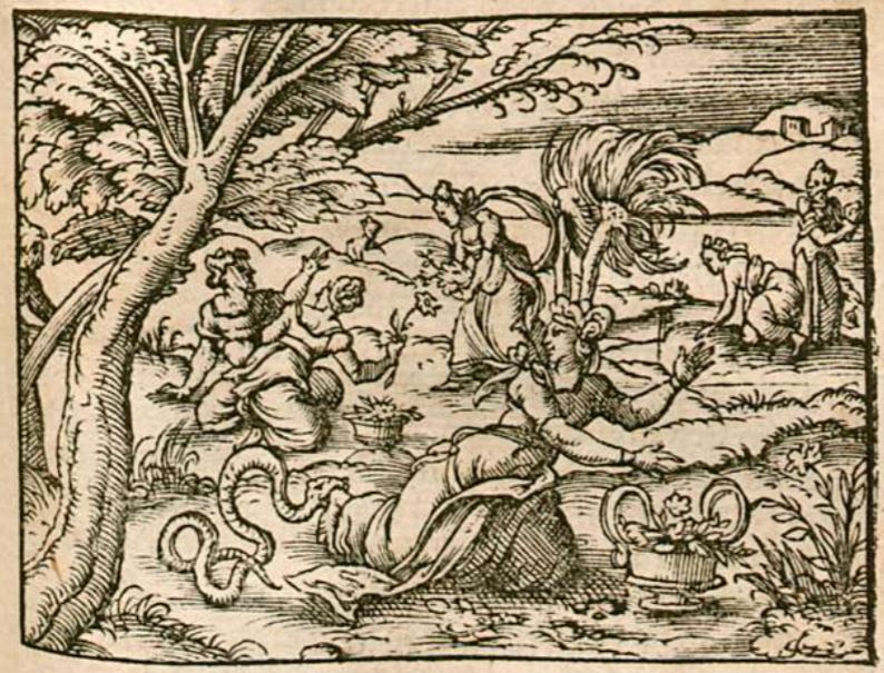Euridice stirbt von der Schlangen gisst