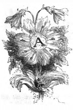 [Gulliver sits on the leaf of a flower on Brobdingnag]