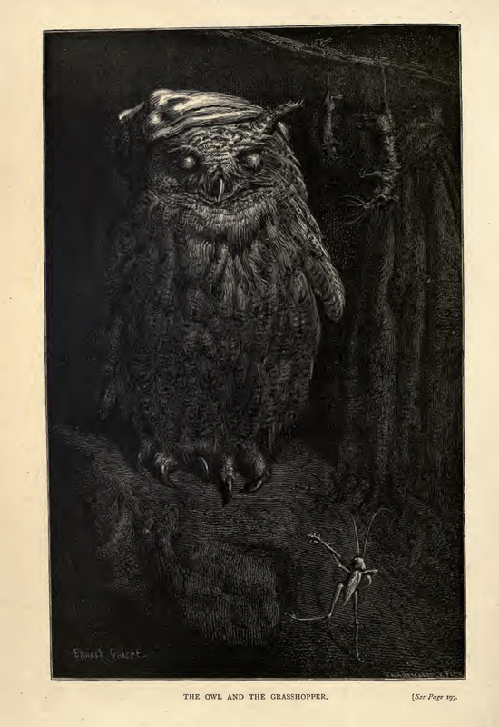 The Owl and the Grasshopper