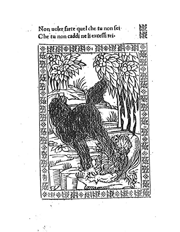 De Equo et Leo. F.XXXXIIII