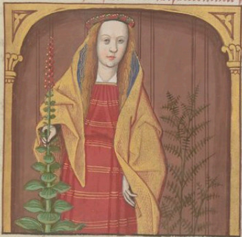 Circes qui sut une tres rénommée femme et sut fille du souleil