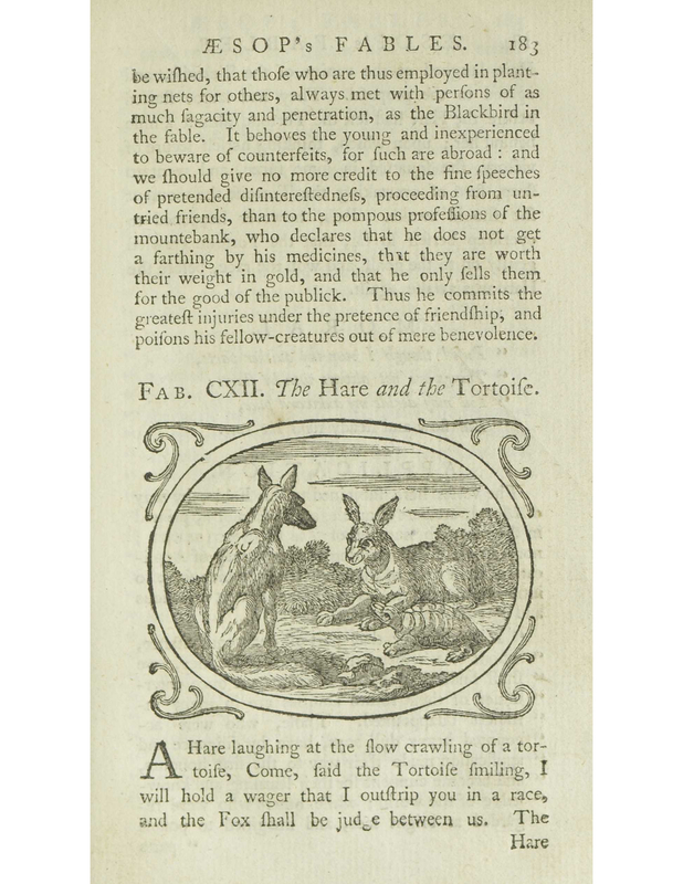 The Hare and the Tortoise