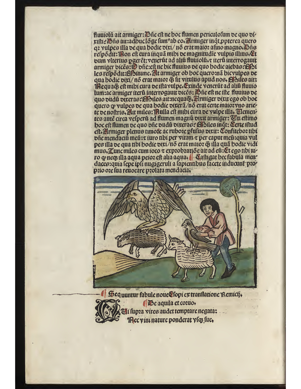 Der Adler und der Rabe