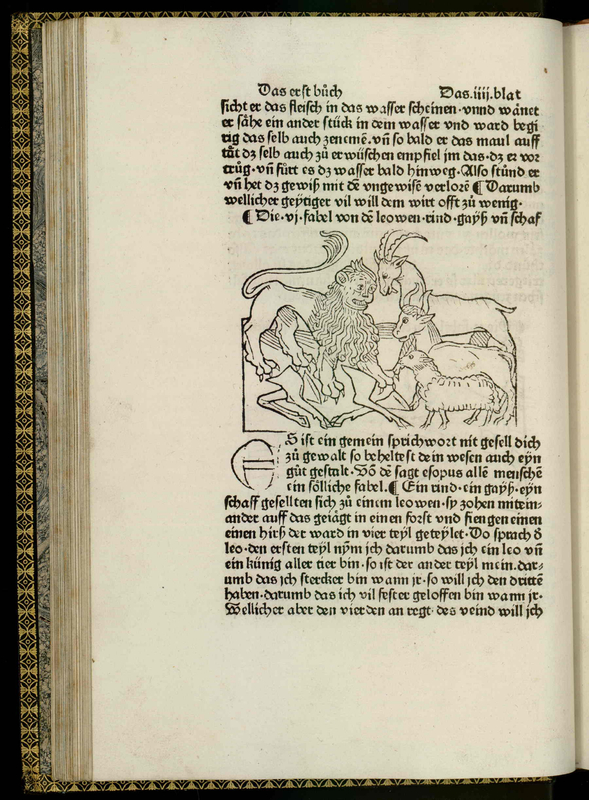 [Lion Confronted by a Pack of Sheep]