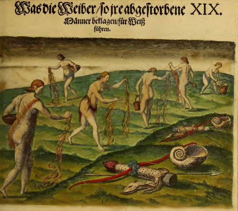 Was die Weiber, so ire abgestorbene Männer beklagen, für Weiß führen. XIX.