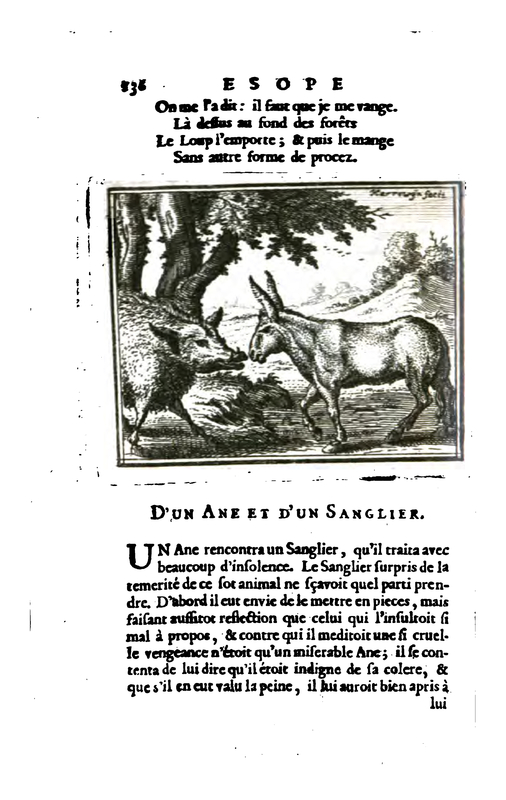 D'un Ane Et D'un Sanglier