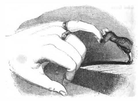 [Gulliver kisses the finger of the Queen of Brobdingnag]