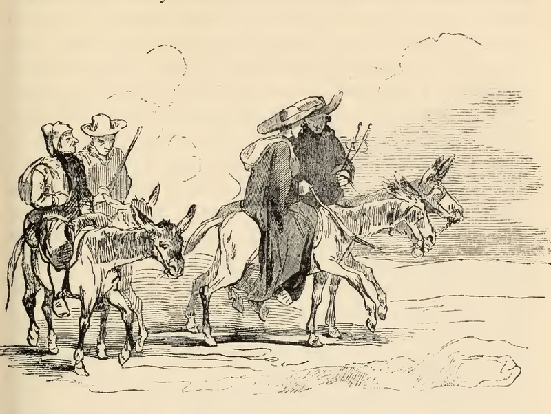 [The Scholars and Countrymen Fall into Wonder at the Sight of Quixote]
