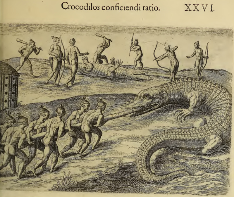 Crocodilos conficiendi ratio. XXVI.