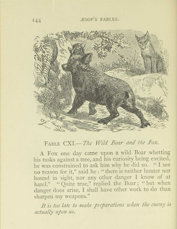 The Wild Boar and the Fox