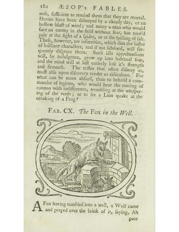 The Fox in the Well