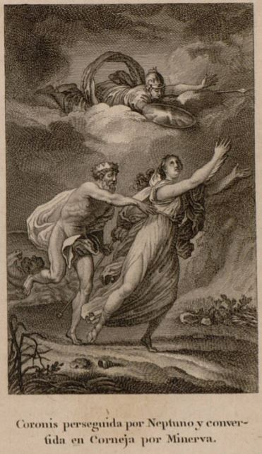 Coronis perseguida por Neptuno y convertida en Corneja por Minerva