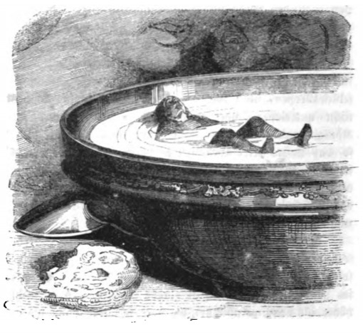 [Gulliver in a bowl of milk on Brobdingnag]
