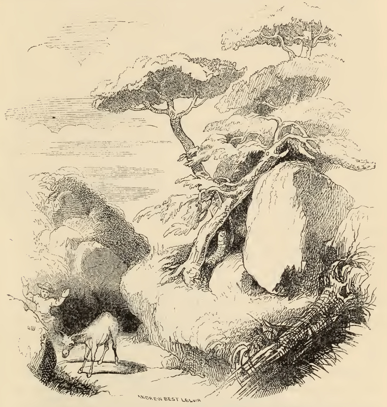 [The Regidor Finds a Mule in the Mountain Wood]