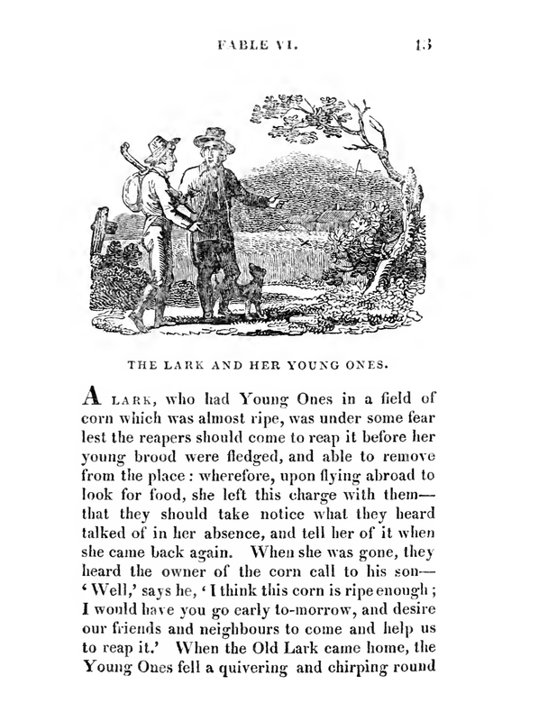 The Lark and Her Young Ones