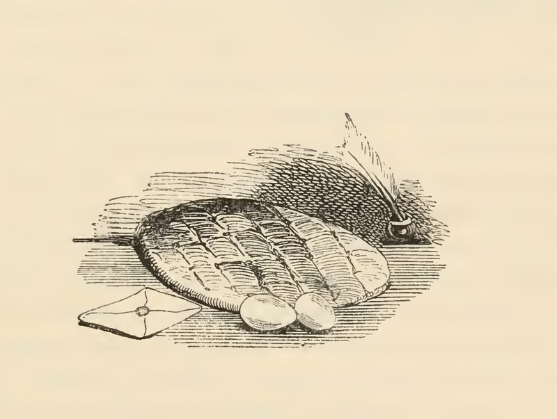[Baked Bread Lies Next to Two Eggs and a Letter]