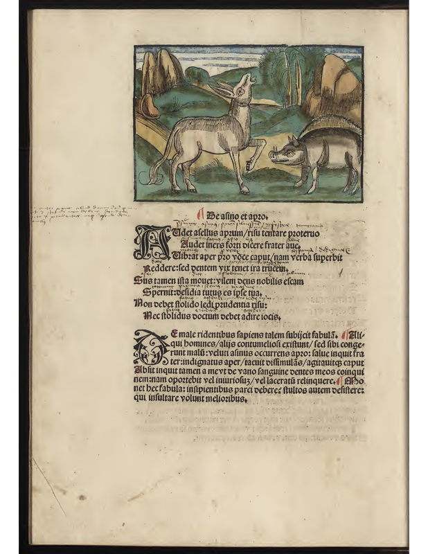 De alino et apzo.